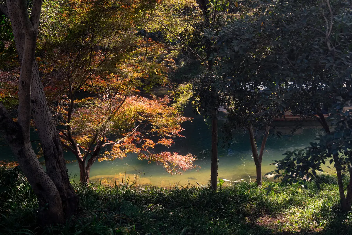 春日印象