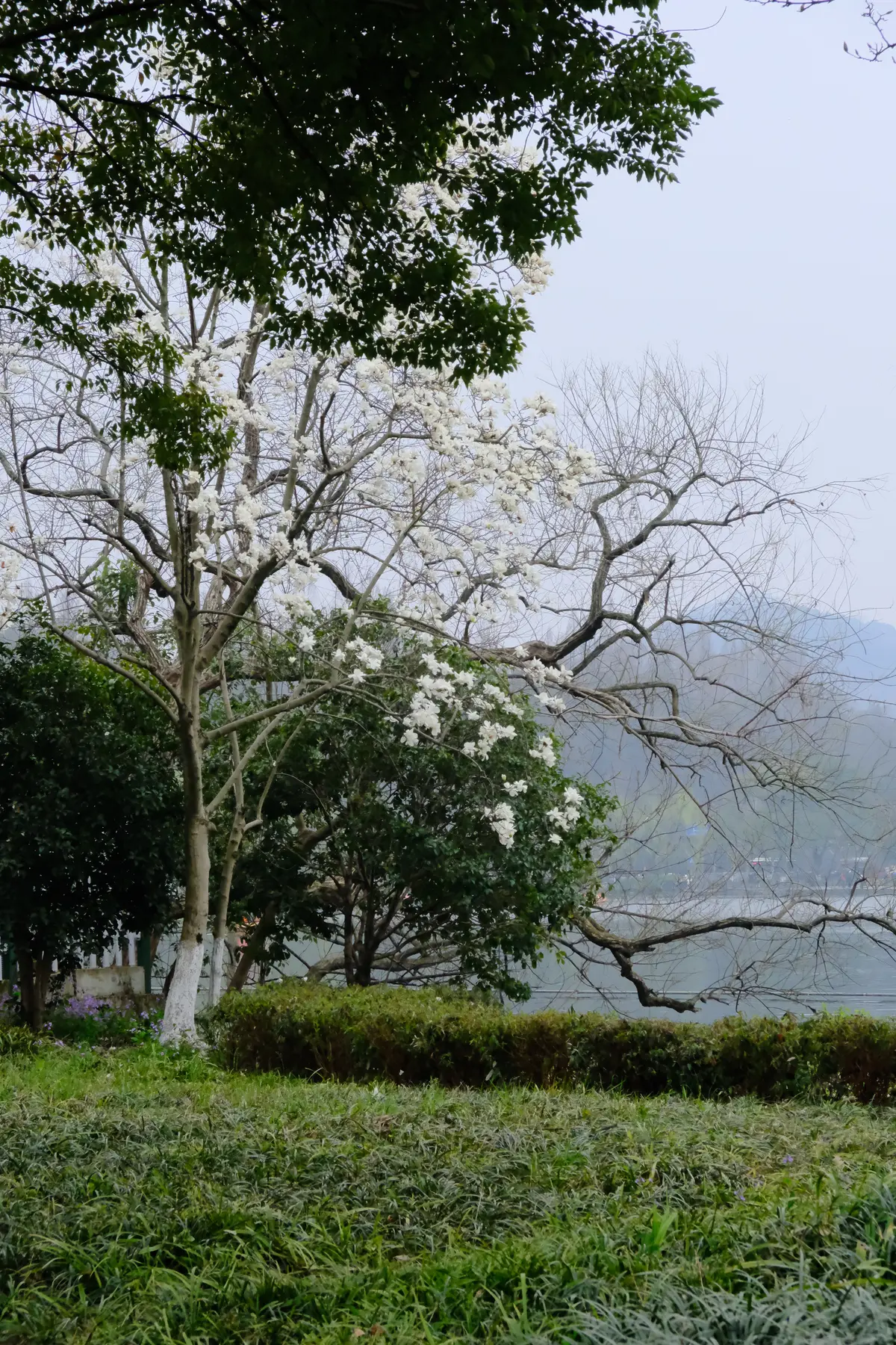 DSCF0397.JPG