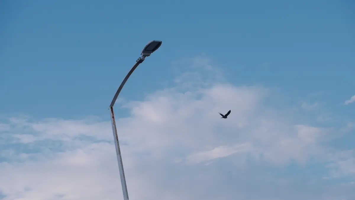 DSCF3578.JPG