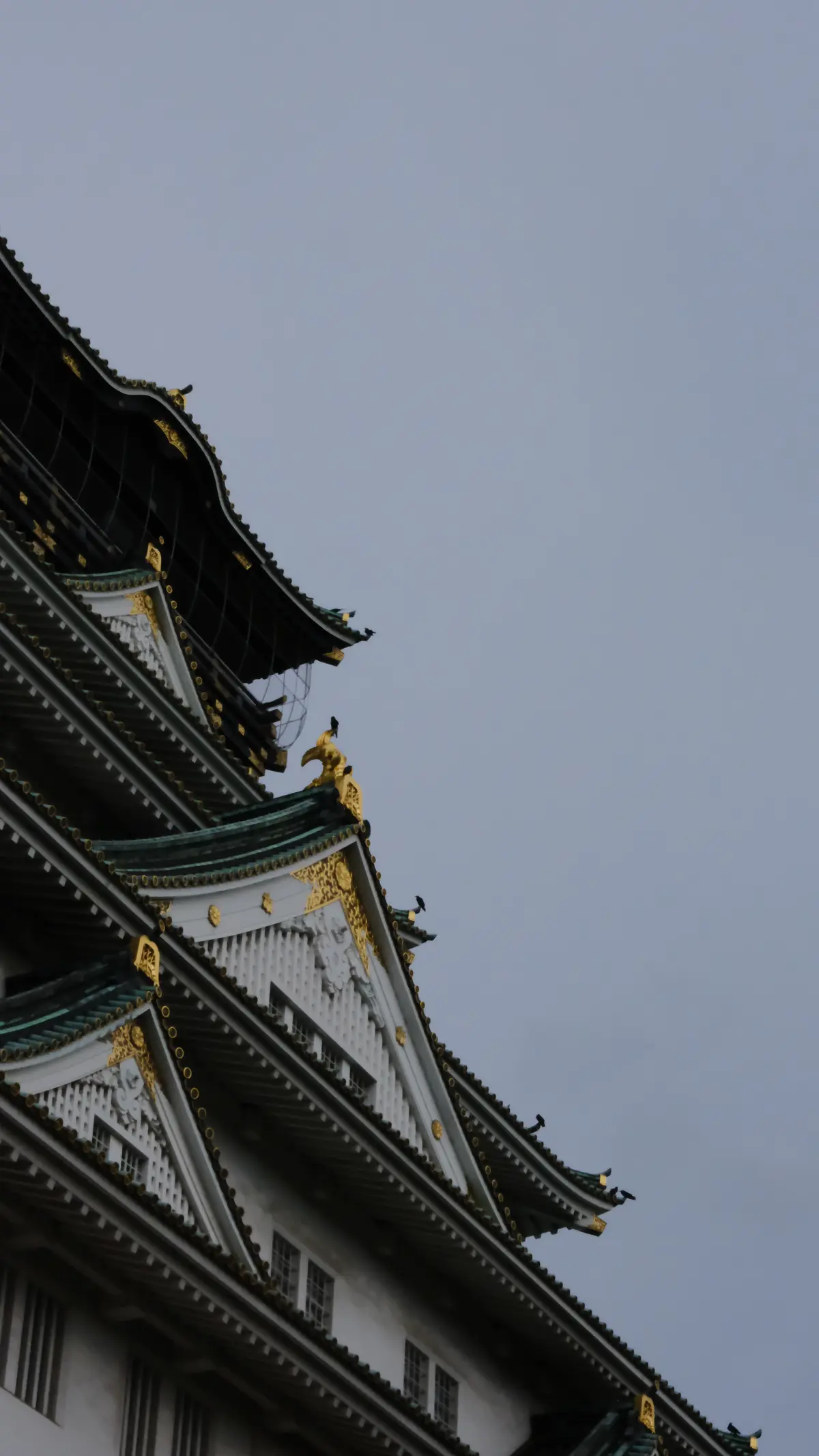 DSCF5268.JPG