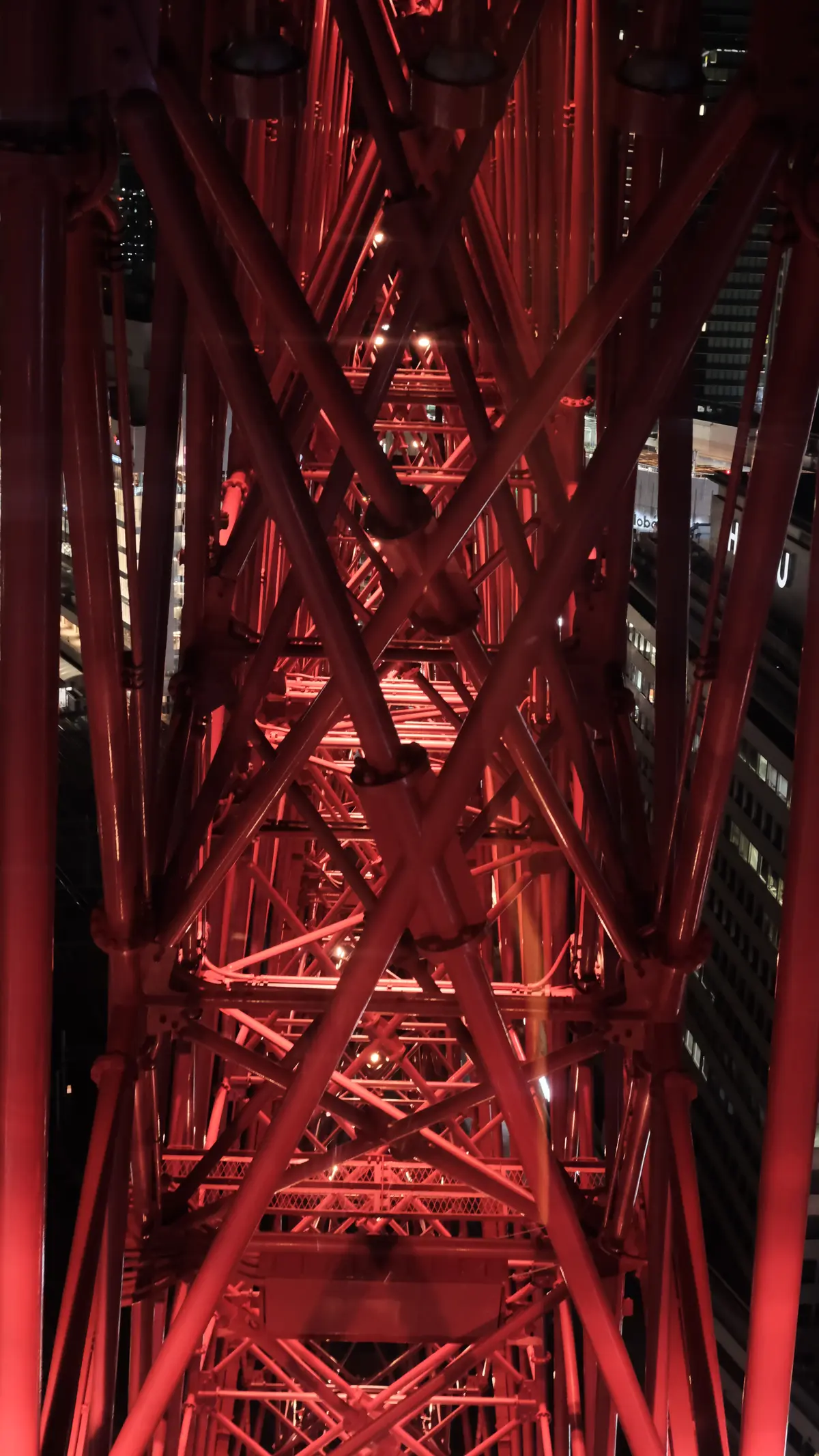 DSCF5388.JPG