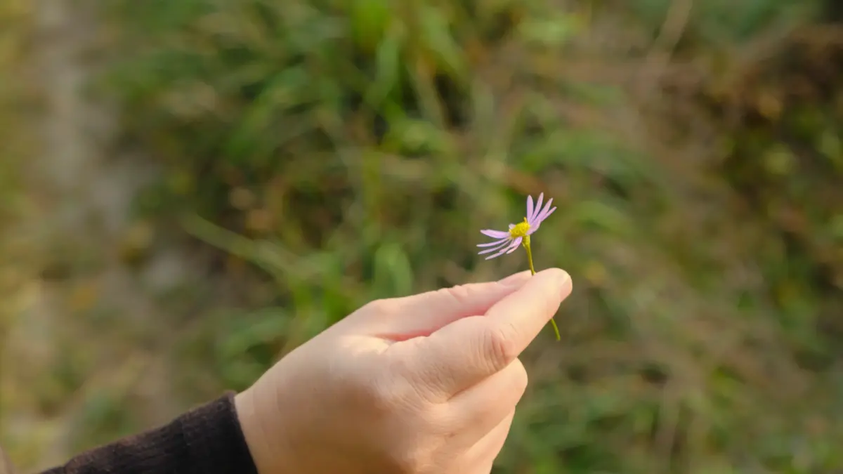 DSCF9022 1.jpg